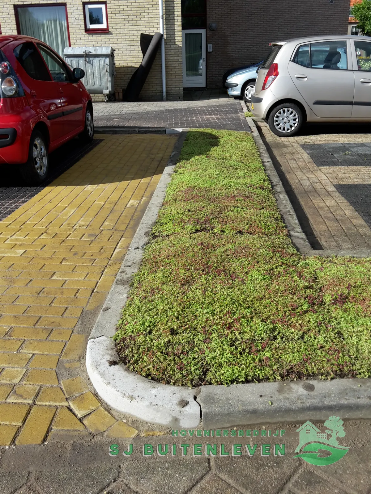 Rondom aangelegd sedumvak op de hoek van het parkeerterrein bij de voordeur, met gele geleidetegels in Middenmeer.